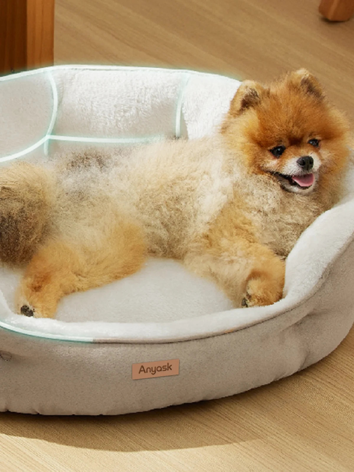 Pet Bed for Dogs & Cats Up to 15 lbs, Brown