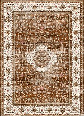 Cocosity 8'x10' Vintage Living Room Area Rug for Home Office House Decor - Brown