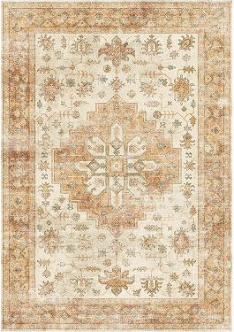 Cocosity 8'x10' Vintage Area Rug Orange Floral Country Boho Bedroom Rug Indoor